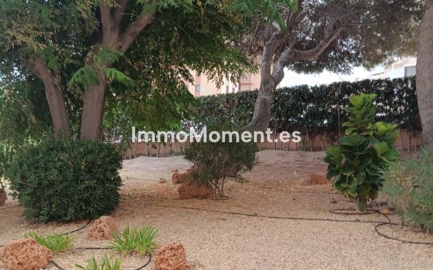 Wiederverkauf - Wohnung - Elche - Arenales del Sol