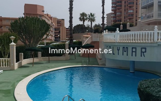 Wiederverkauf - Wohnung - Elche - Arenales del Sol