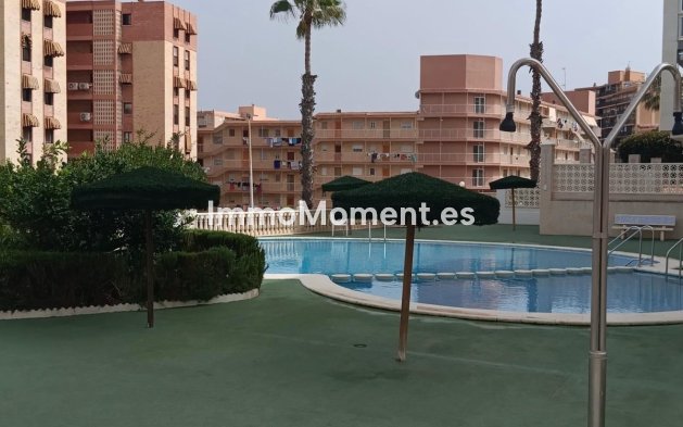 Wiederverkauf - Wohnung - Elche - Arenales del Sol