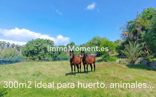 Reventa - Villa - Estepona  - Estepona Centro