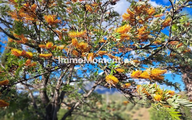 Resale - Country house - Mijas - La Cala de Mijas