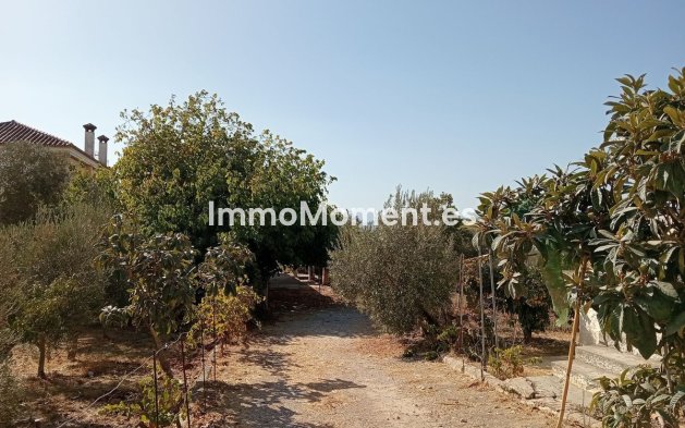 Bestaande woning - Perceel - Málaga - Estación de Campanillas