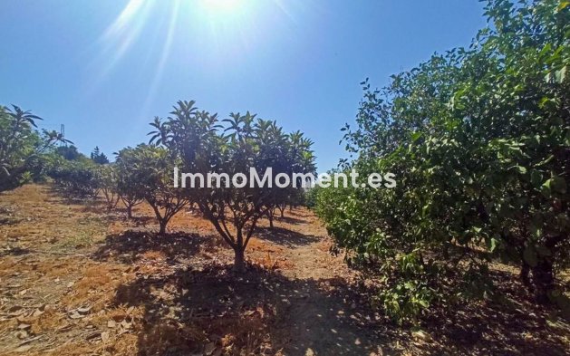 Reventa - Casa de campo - Estepona  - Estepona Centro