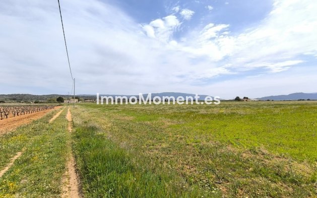 Revente - Maison de campagne - Yecla - Yecla Centro