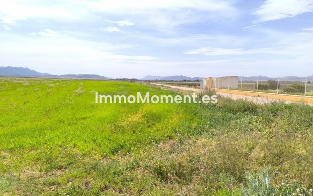 Revente - Maison de campagne - Yecla - Yecla Centro