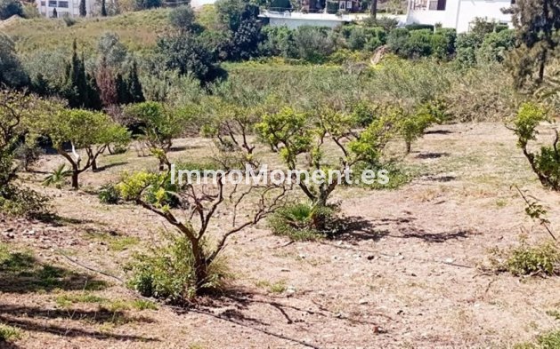 Wiederverkauf - Freistehende Villa - Benalmadena - Benalmadena Costa