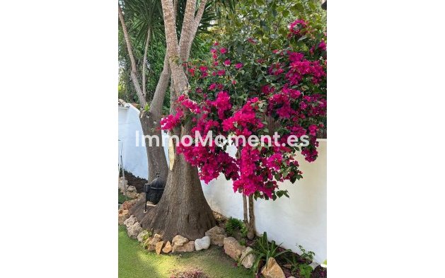 Wiederverkauf - Reihenhaus - Marbella - Nueva Andalucía