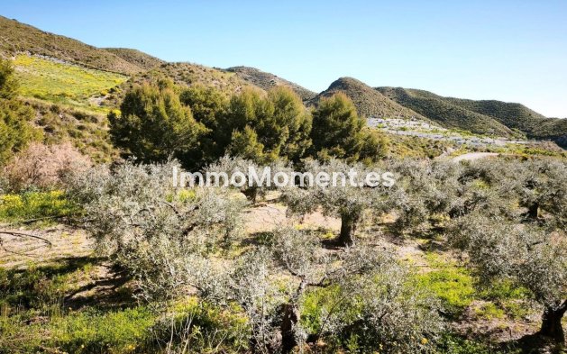 Wiederverkauf - Land - Lorca - Lorca Centro