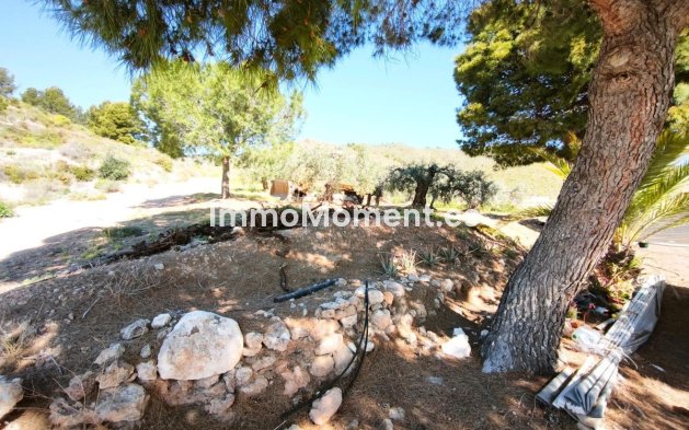 Wiederverkauf - Land - Lorca - Lorca Centro