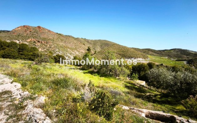 Wiederverkauf - Land - Lorca - Lorca Centro