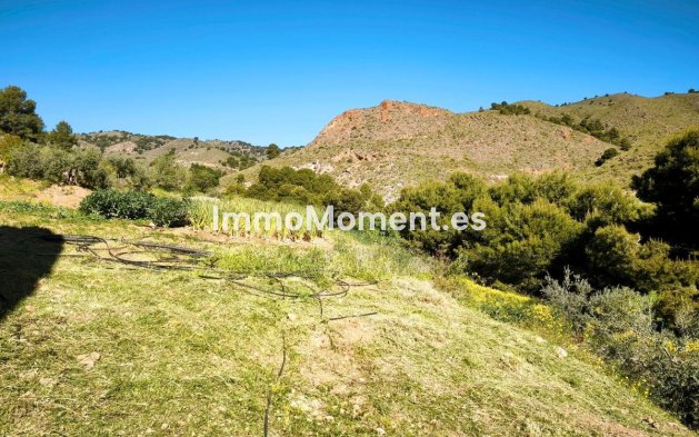 Wiederverkauf - Land - Lorca - Lorca Centro