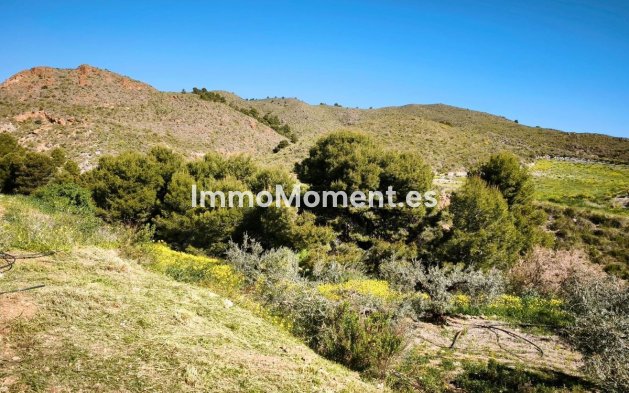 Wiederverkauf - Land - Lorca - Lorca Centro