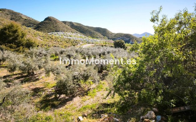 Wiederverkauf - Land - Lorca - Lorca Centro
