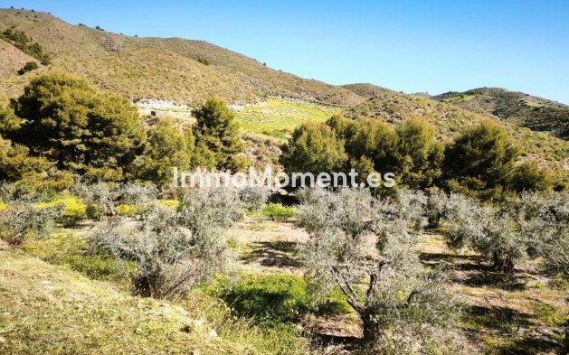 Wiederverkauf - Land - Lorca - Lorca Centro