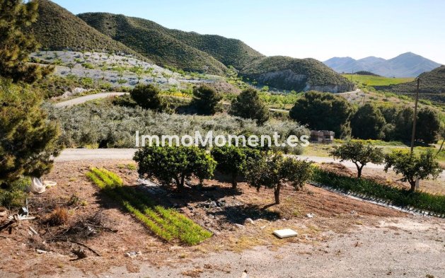 Wiederverkauf - Land - Lorca - Lorca Centro