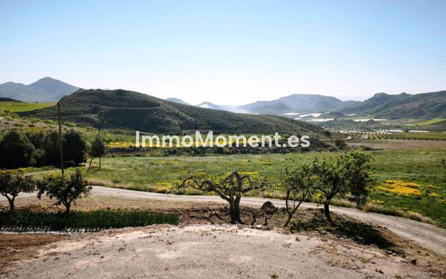 Wiederverkauf - Land - Lorca - Lorca Centro