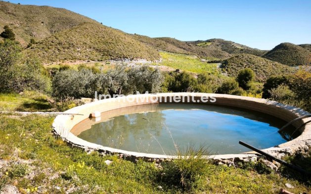 Wiederverkauf - Land - Lorca - Lorca Centro