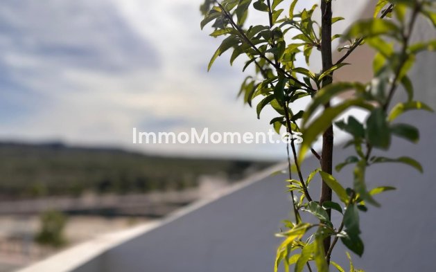 Bestaande woning - Appartement - San Miguel de Salinas - San Miguel