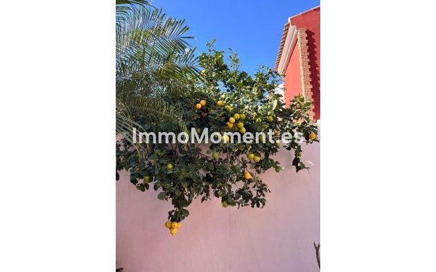 Bestaande woning - Villa - Pilar de la Horadada - Torre de la Horadada