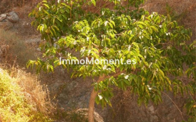 Resale - Country house - Casares - Casares Centro