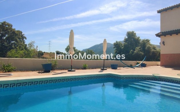 Revente - Maison de campagne - Intérieur                       - Alhaurín el Grande Centro