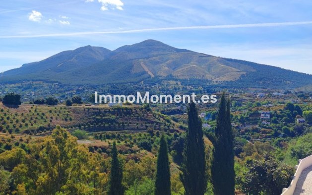 Revente - Maison de campagne - Intérieur                       - Alhaurín el Grande Centro