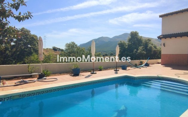Revente - Maison de campagne - Intérieur                       - Alhaurín el Grande Centro