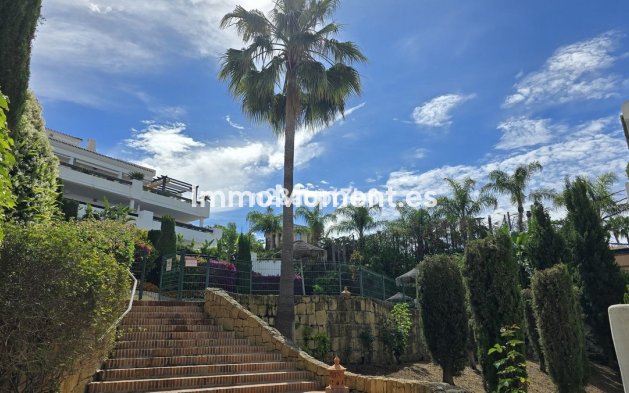 Resale - Apartment - Marbella - Nueva Andalucía