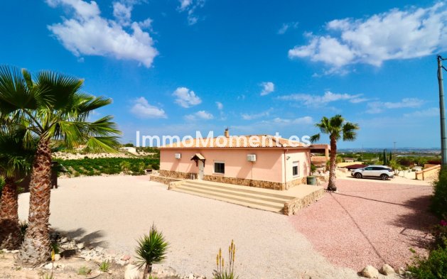 Resale - Detached villa - Albatera - Albatera Centro