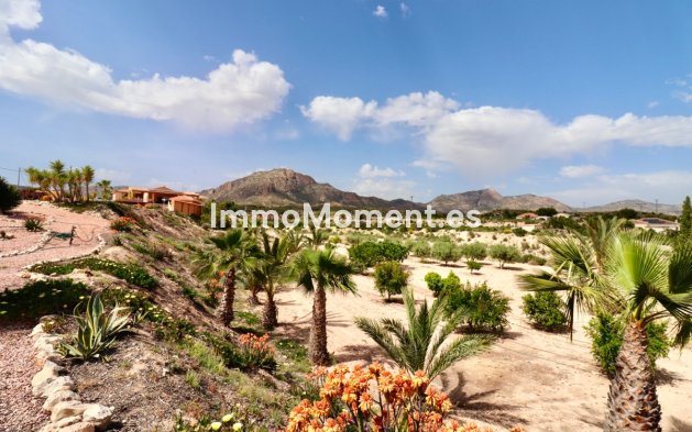 Resale - Detached villa - Albatera - Albatera Centro