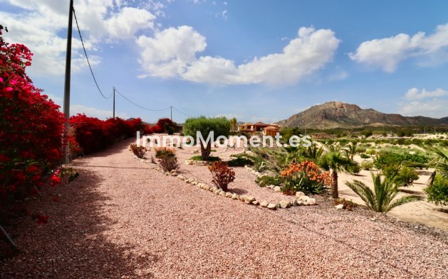 Resale - Detached villa - Albatera - Albatera Centro