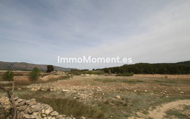 Resale - Country house - Monóvar - Monòver - Monóvar - Monòver Centro
