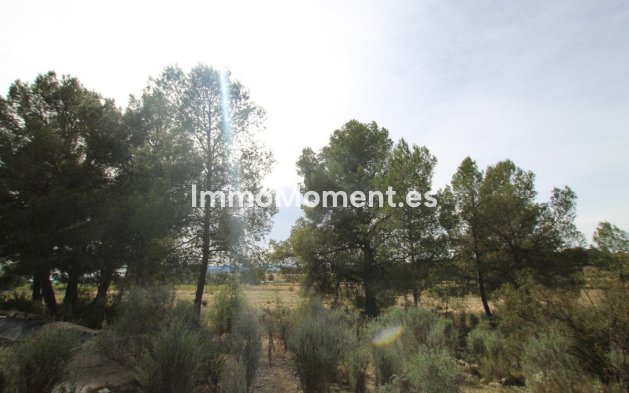 Resale - Country house - Monóvar - Monòver - Monóvar - Monòver Centro