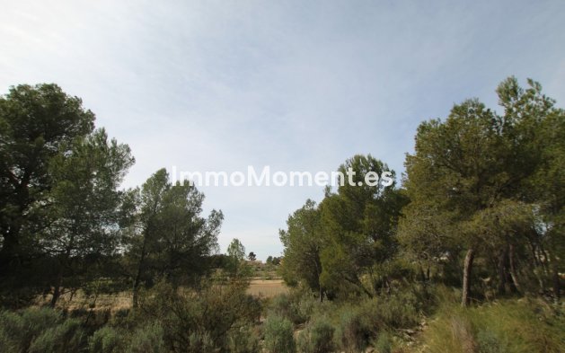 Resale - Country house - Monóvar - Monòver - Monóvar - Monòver Centro