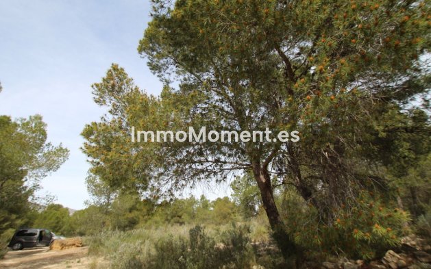 Resale - Country house - Monóvar - Monòver - Monóvar - Monòver Centro