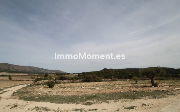 Resale - Country house - Monóvar - Monòver - Monóvar - Monòver Centro