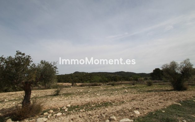 Resale - Country house - Monóvar - Monòver - Monóvar - Monòver Centro