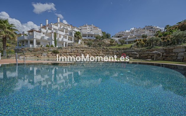 Revente - Appartement - Marbella - Nueva Andalucía