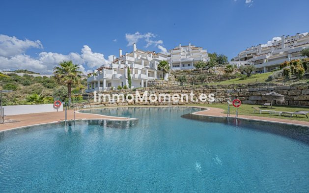 Revente - Appartement - Marbella - Nueva Andalucía