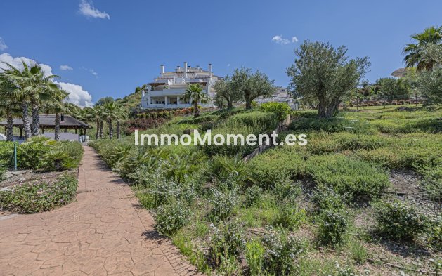 Revente - Appartement - Marbella - Nueva Andalucía