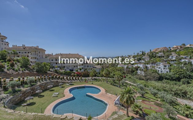 Revente - Appartement - Marbella - Nueva Andalucía