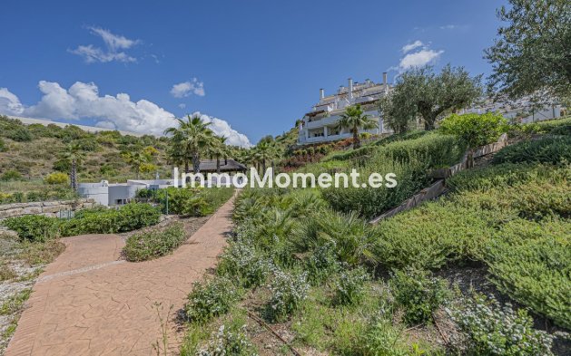 Revente - Appartement - Marbella - Nueva Andalucía