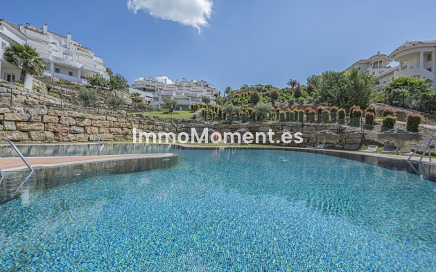 Revente - Appartement - Marbella - Nueva Andalucía