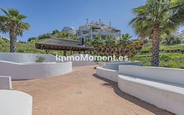 Revente - Appartement - Marbella - Nueva Andalucía
