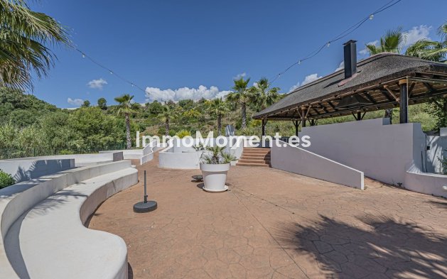 Revente - Appartement - Marbella - Nueva Andalucía
