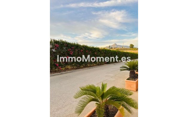 Revente - Maison mitoyenne - Marbella - Nueva Andalucía