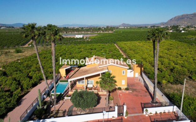 Resale - Villa - Orihuela - Orihuela Centro