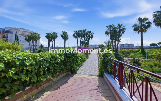 Resale - Apartment - Orihuela - Playa Flamenca