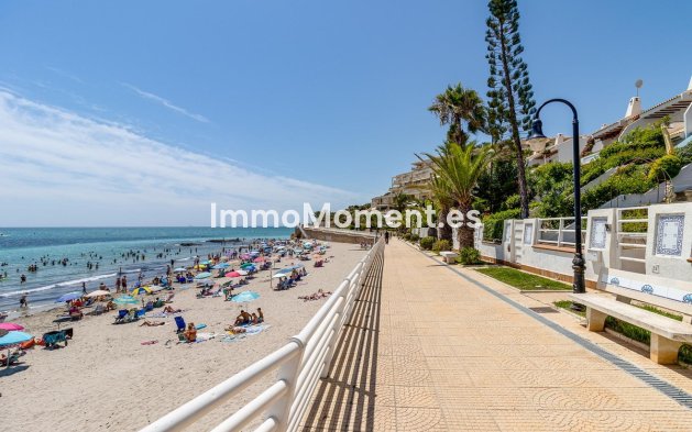 Bestaande woning - Appartement - Orihuela - Campoamor