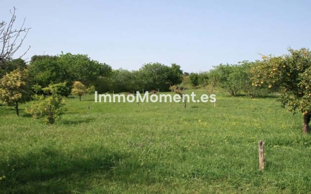 Bestaande woning - Landhuis - Binnenland  - Alhaurín el Grande Centro